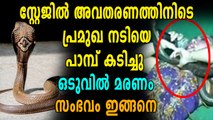 പ്രമുഖ നടി പാമ്പ് കടിയേറ്റു മരിച്ചു | Oneindia Malayalam