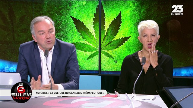 Les GG veulent savoir : Doit-on autoriser la culture du cannabis à but thérapeutique ? - 10/05