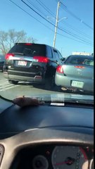 Elle montre ses fesses durant un Road Rage