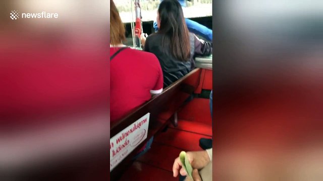 Hero passer-by rescues blind drowning dog from dirty canal