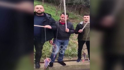 Ora News - Të rinjtë e FRPD presin Ramën me 'peshq' në duar