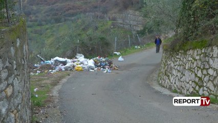Report TV - Tiranë, në lagjen Kodër nuk pastrohen mbeturinat, shkak ndërrimi i firmës pastruese