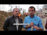 Gjelbërimi i Tiranës, mbjellje të reja nga Bashkia e Tiranës - Top Channel Albania - News