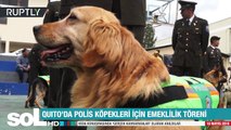 soL HD | Polis köpeklerine emeklilik töreni yapıldı