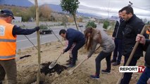 Report TV - Liqenit të Thatë i shtohen 200 pemë, Veliaj: 2018 akoma mė e mirė pėr Tiranė