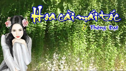 [Karaoke] HOA CÀI MÁI TÓC - Thông Đạt (Giọng Nam: Gm)