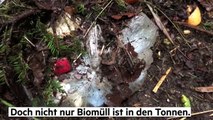 Was passiert eigentlich mit unserem Biomüll?