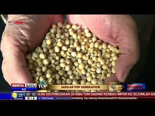 Melemahnya Rupiah Pengaruhi Harga Kedelai