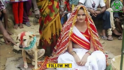 दुनिया में सबसे अजीब शादिया देखकर हैरान रेह जाओगे !