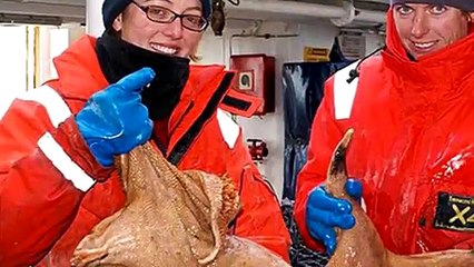 21 Unbelievably LARGE Animals