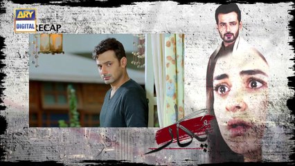 Pukaar Episode 14 - 10th May 2018 - ARY Digital Drama