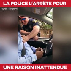 La chute devrait vous étonner ! via Newsflare