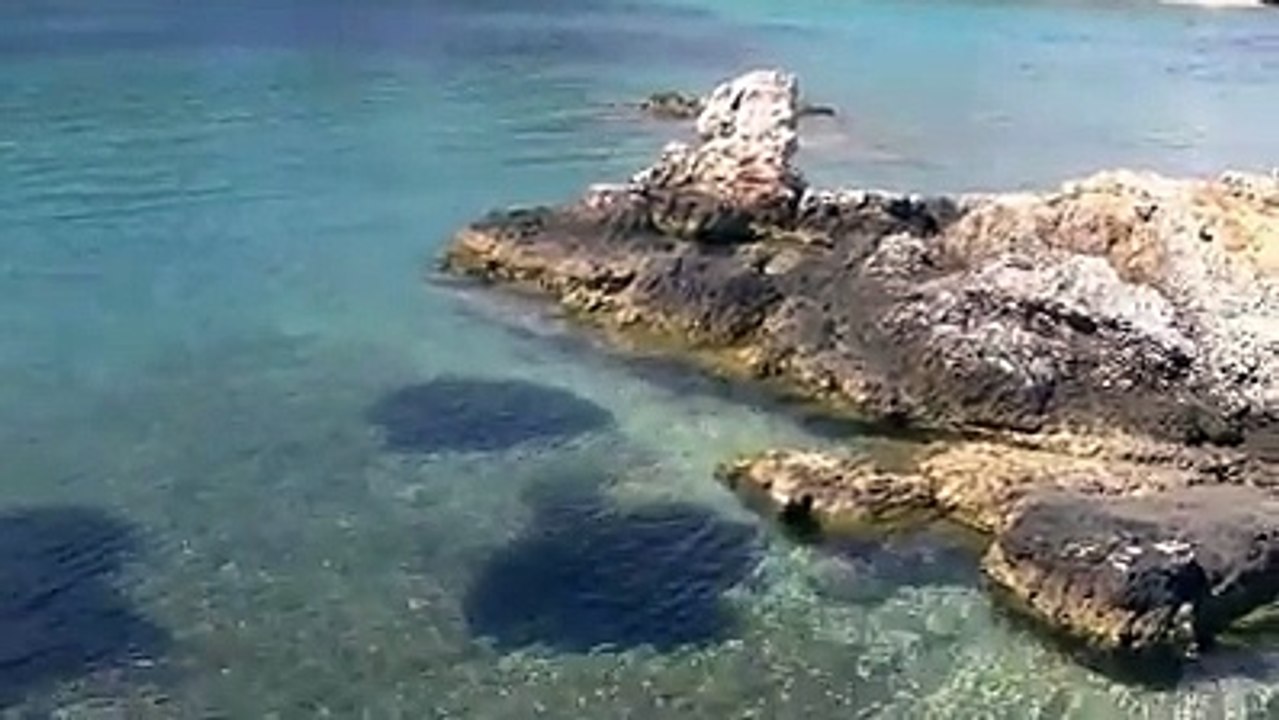 Ishujt e Ksamilit , Sarandë