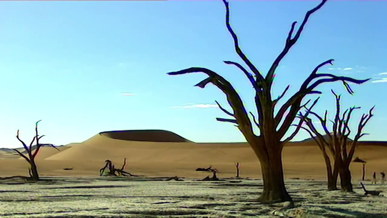 Desert of the Skeletons (part 1)
