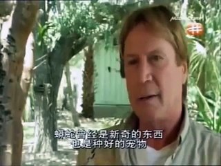 The Deadly Giant Snakes (Full Documentary)