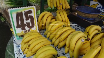 Pazarxhinjtë duhet të pajisen me licenca