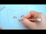 Come disegnare un gatto. Corso di disegno per bambini. how to draw cat