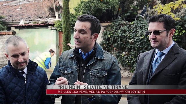 Mbillen 150 pemë në zonën e Selvive - News, Lajme - Vizion Plus