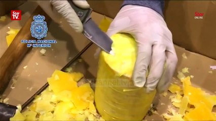 Descargar video: Spanjë e Portugali, qindra kg kokainë të fshehura në ananas  - Top Channel Albania - News - Lajme