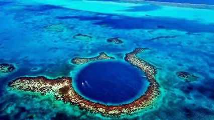 5 Animales prehistóricos captados en cámara