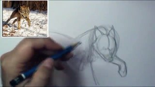 How to Draw Motion Wolf Running