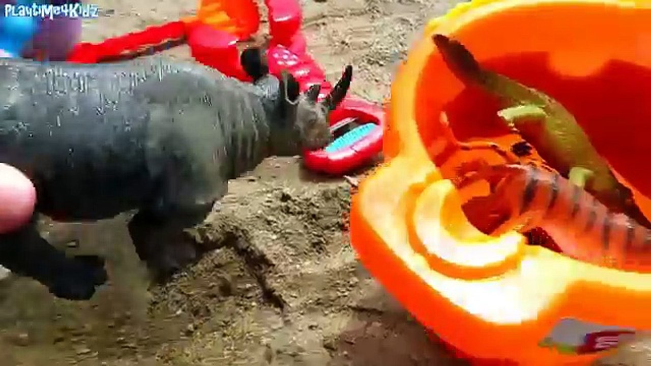 Learn Wild ZOO Animals Names