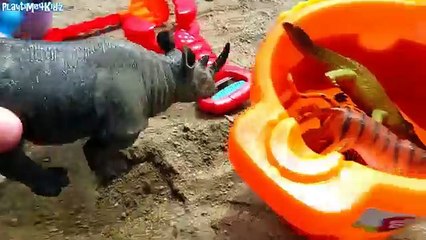 Learn Wild ZOO Animals Names