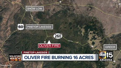 Top stories: Shots exchanged during Surprise robbery, Oliver Fire burning near Pinetop-Lakeside, winds crank up into the weekend