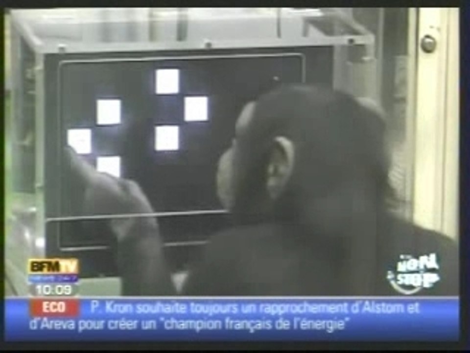 La planète des singes 2