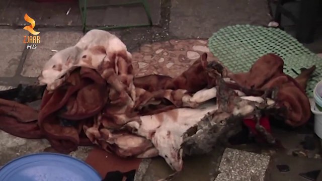 360° Gradë - Gjenden Të Vdekur Nënë E Bir Në Shtëpi, Policia Janë Vrarë