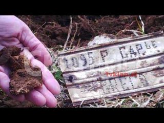 Kerkimet per eshtrat e ushtareve greke, historianet: Aty kane rene ushtare italiane