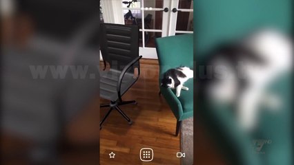 Next - Apps of the day - 24 Janar 2018 - Show - Vizion Plus