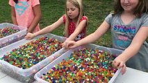 Orbeez Challenge - Desafio Orbeez - How many Shopkins can you find?