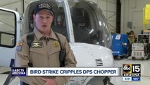 Bird strike cripples Arizona DPS chopper