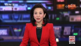 [中国新闻]全国政协十三届一次会议今天开幕 | CCTV中文国际