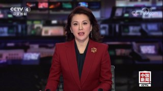 [中国新闻]十二届全国人大常委会第一百一十三次委员长会议在京举行 | CCTV中文国际
