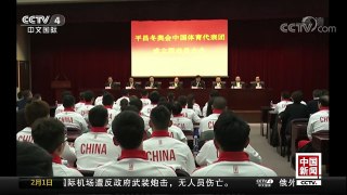 [中国新闻]平昌冬奥会中国体育代表团成立 | CCTV中文国际