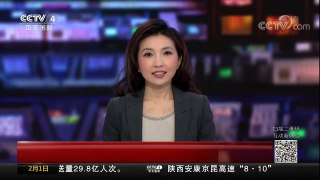 [中国新闻]“见义勇为”狮群口下救小象 | CCTV中文国际