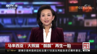 [中国新闻]马来西亚：大熊猫“靓靓”再生一胎 | CCTV中文国际