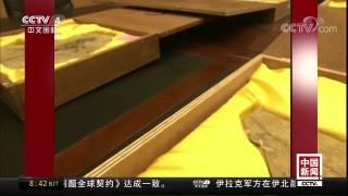 [中国新闻]辽宁沈阳：流失海外多年“龙鸟”化石回国 | CCTV中文国际