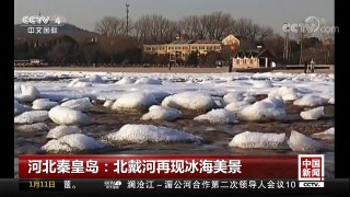 [中国新闻]河北秦皇岛：北戴河再现冰海美景 | CCTV中文国际