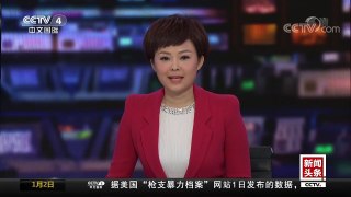 [中国新闻]元旦假期全国共接待国内游客1.33亿人次 | CCTV中文国际