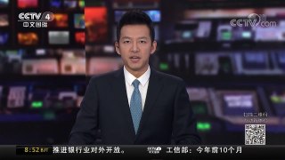 [中国新闻]48厘米！“世界最小驴”或刷新纪录 | CCTV中文国际