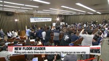 S. Korea's ruling party elects three-term lawmaker Hong Young-pyo as new whip