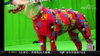 [中国新闻]“小狗动作”数据库 让动画片更逼真 | CCTV中文国际