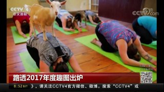 [中国新闻]路透2017年度趣图出炉 | CCTV中文国际