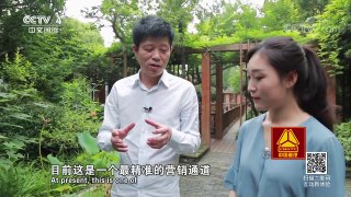 《走遍中国》 20171207 3集系列片《叠石桥的故事》（3）赢在微笑 | CCTV中文国际