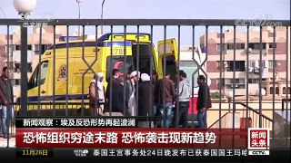 [中国新闻]新闻观察：埃及反恐形势再起波澜 | CCTV-4