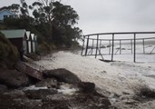 Cold Snap Weather Washes Fish Farm Ashore at Hinsby Beach