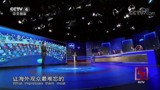 《与你同行——2017CCTV-4海外观众联谊活动纪实》 20171118 | CCTV-4
